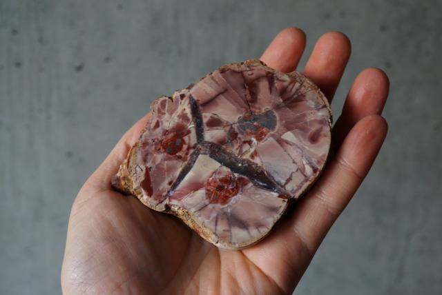 コールドマウンテン・サンダーエッグ Cold Mountain Thunderegg 1031