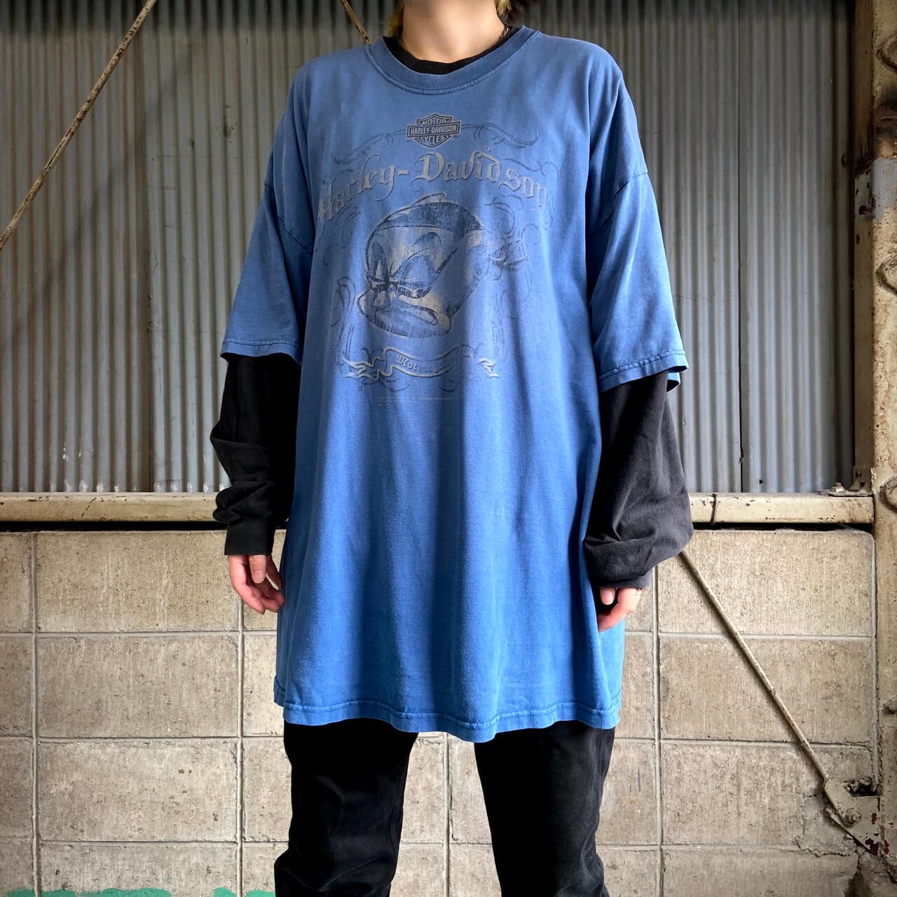 ビッグサイズ USA製 ハーレーダビッドソン タズマニアンデビル 両面 