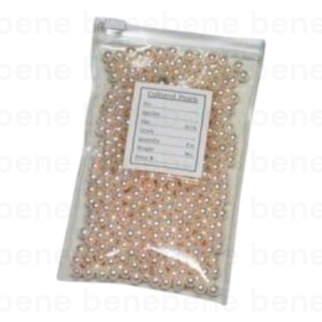 ﾙｰｽ用ﾌﾟﾗｽﾁｯｸﾊﾞｯｸﾞ（ｶｰﾄﾞ付）：ﾃﾝﾁｬｯｸ中 外ﾎﾟｹｯﾄ（明細ｶｰﾄﾞ付）10枚