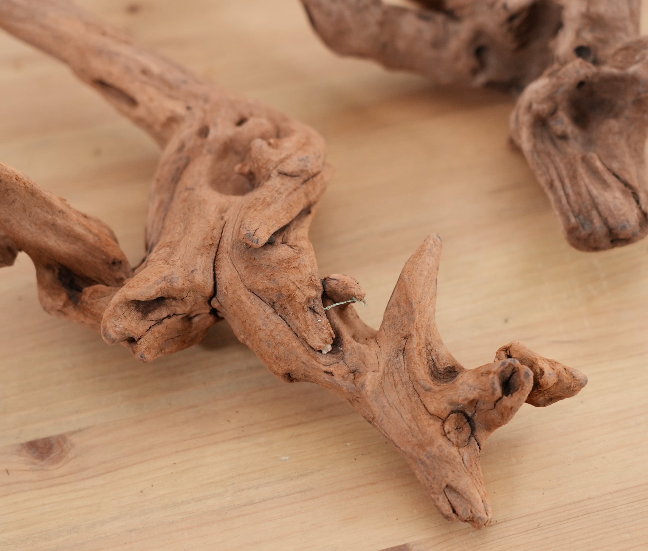 装飾用最高級流木☆マングローブ系プレミアム ☆流木 マングローブ