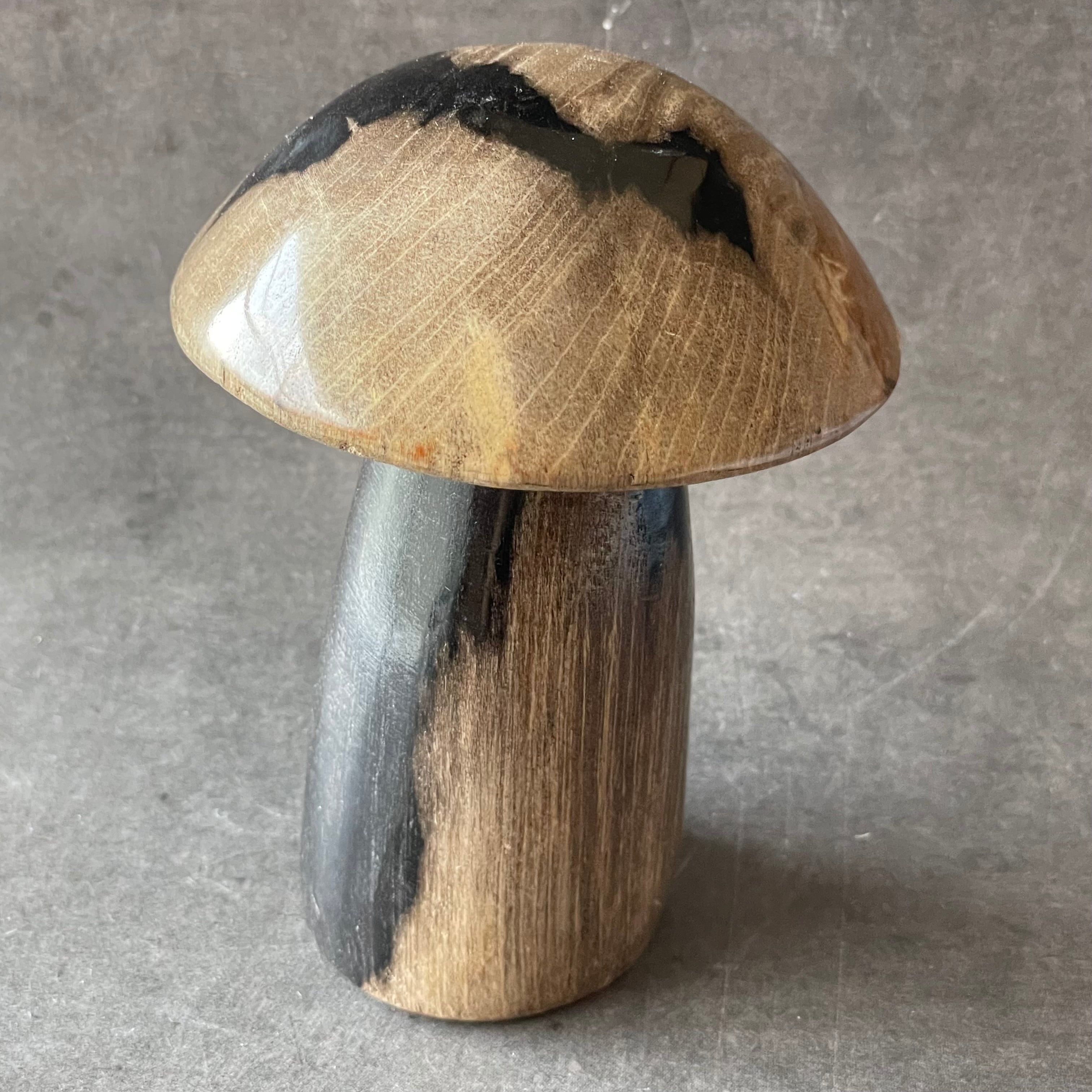 産地不明 フローライト ツリーハウス きのこ 家 置彫り物 天然石 インドネシア産♦︎Petrified Wood ペトリファイドウッド|mushroom