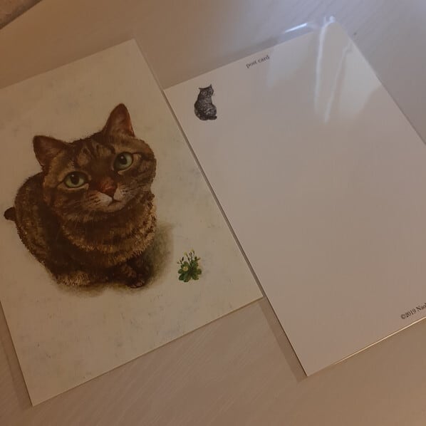 ポストカード》町田尚子「なまえのないねこ」 #2 | ねこのみち