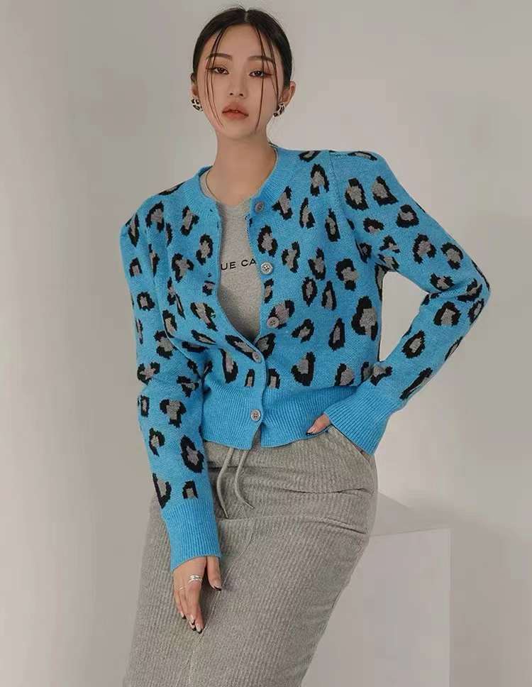 アニマル柄ニット  AJ22231-6156