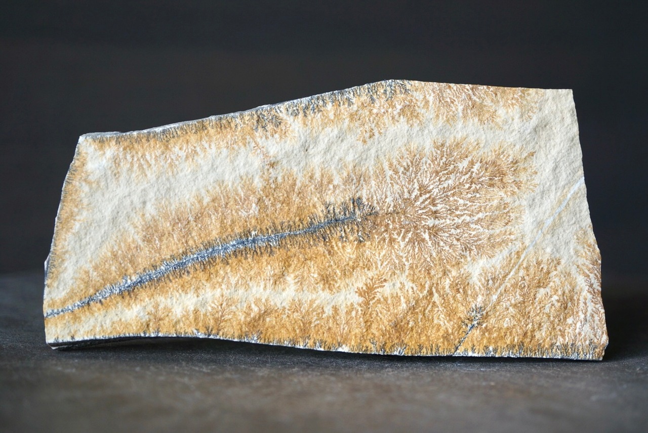 デンドライト 忍石 Dendritic limestone 1189