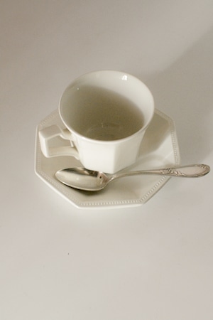 vintage cup & saucer JOHNSON BROTHERS Ⅳ