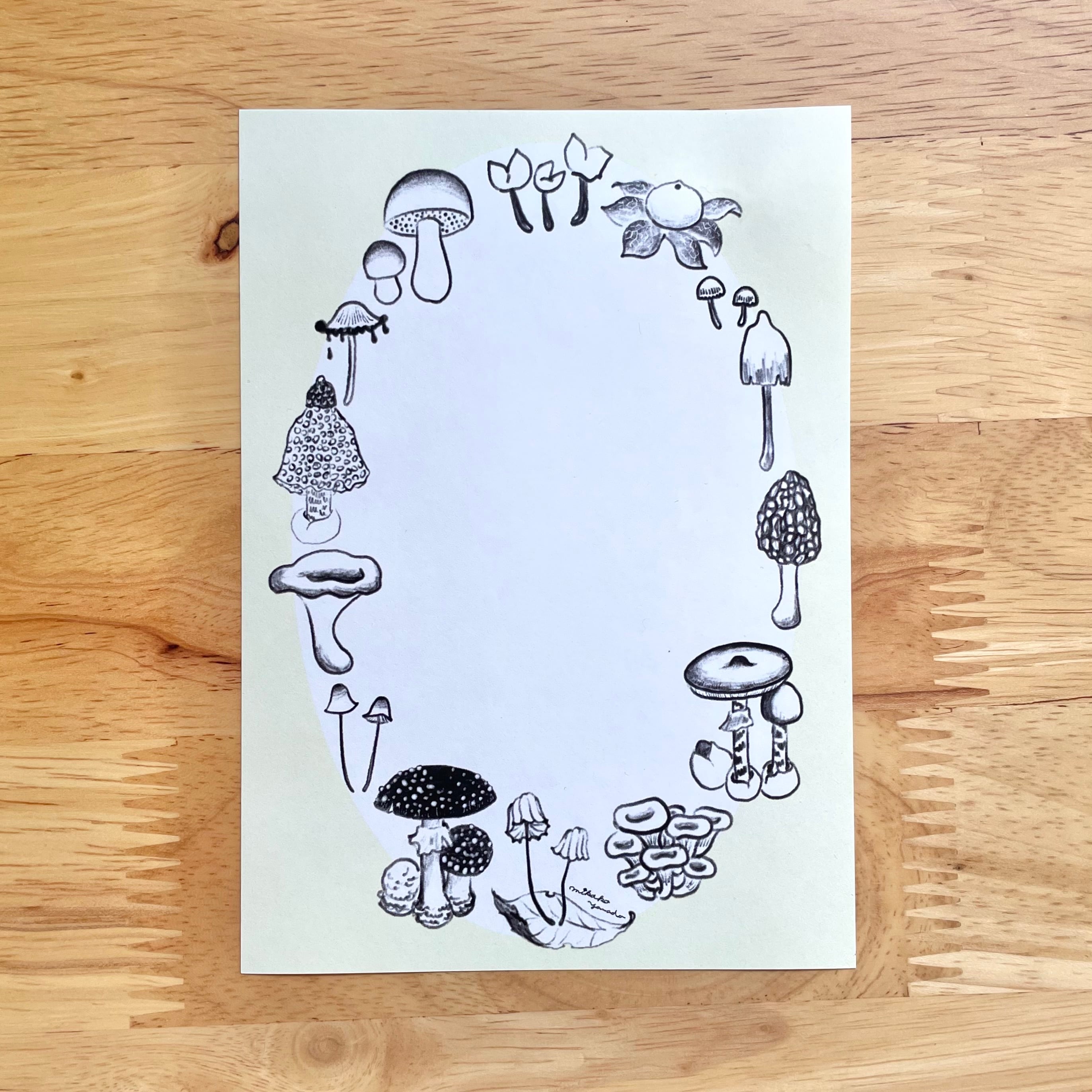 きのこmemo 3種セット