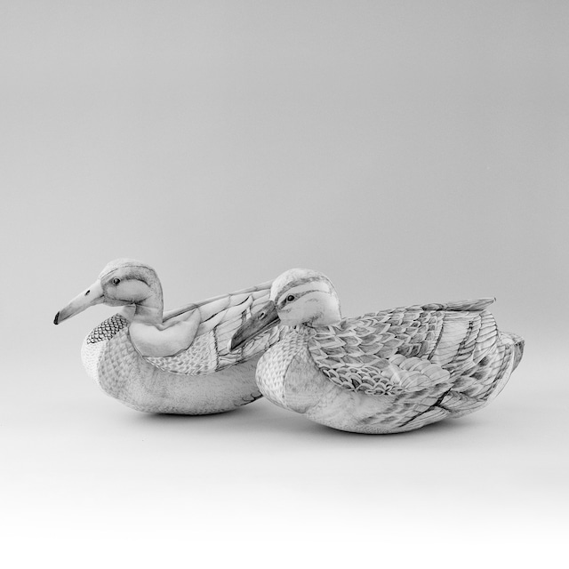 【受注商品】つがい PAIR｜カモ