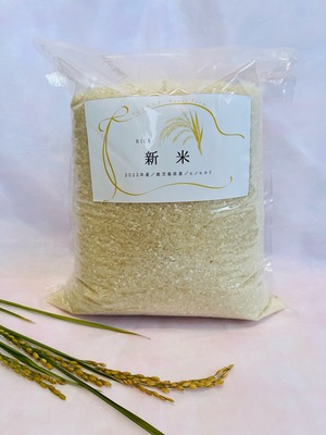 【新米】（送料無料）減農薬 ヒノヒカリ 5kg のお米 令和5年 鹿児島県出水産