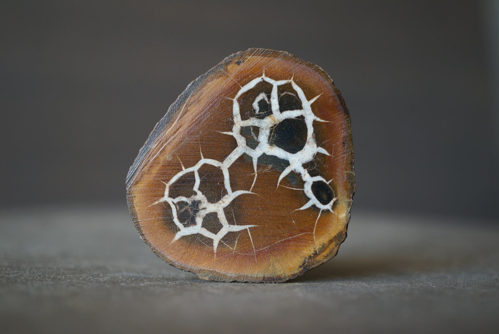 septarian | 叙景 jokei
