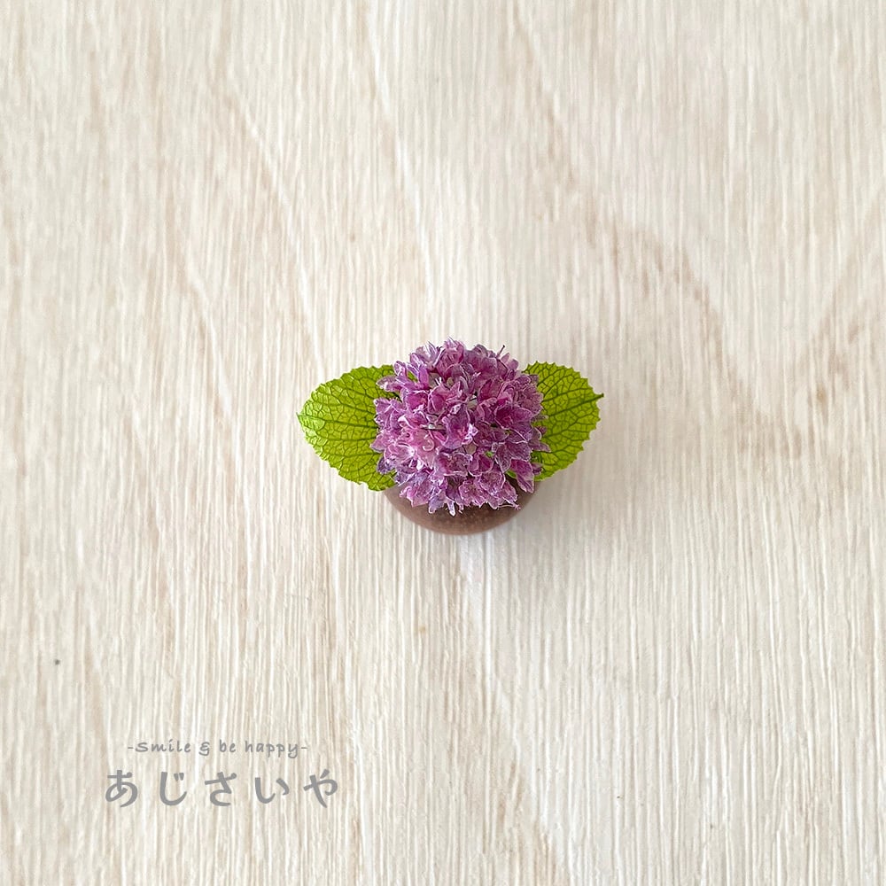ミニチュア紫陽花 ロデオ （秋色アジサイ クラシックパープル） 1輪