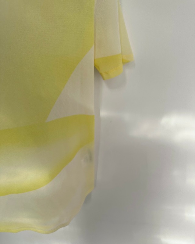 ISSEY MIYAKE　SHEER GRAPHIC TOP