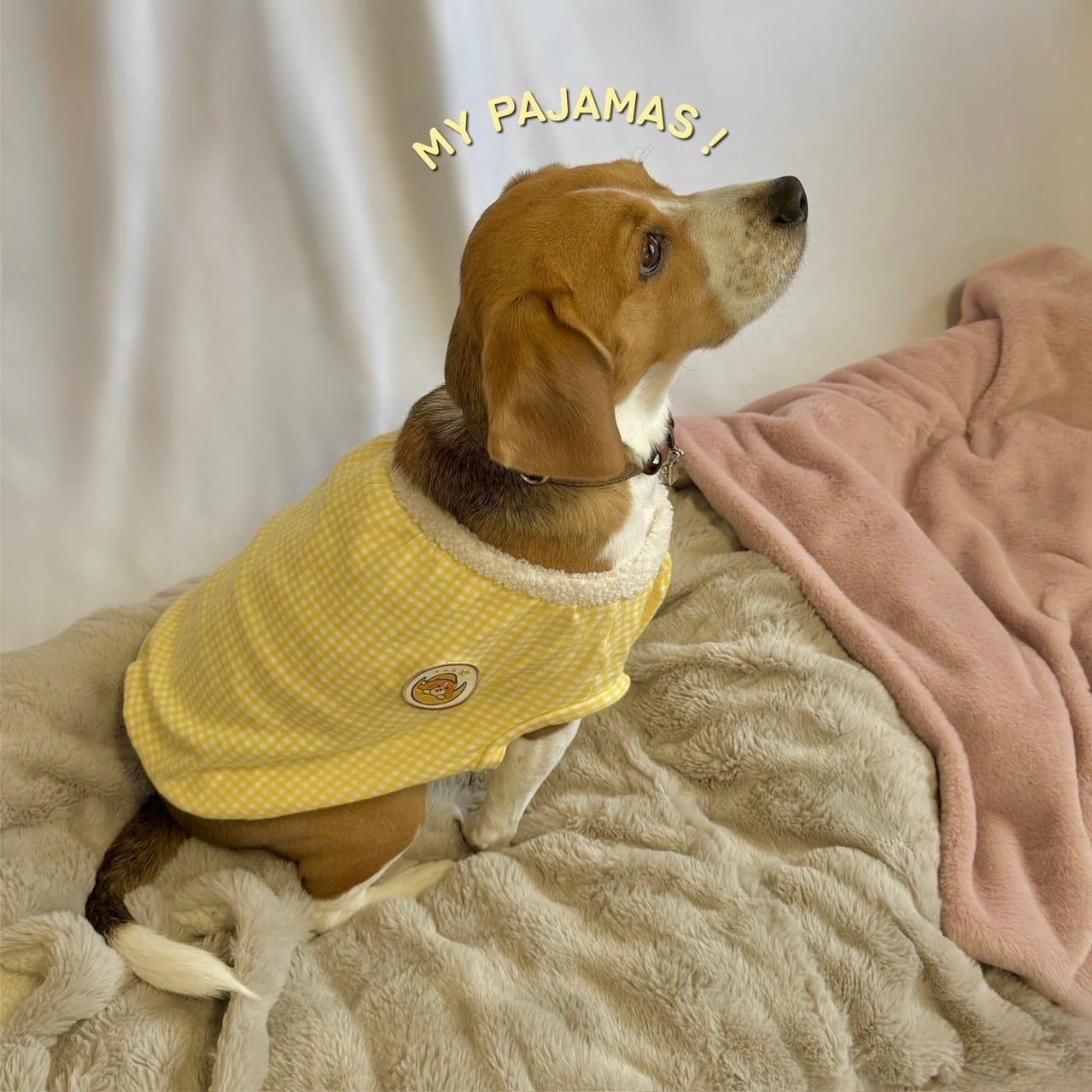 スモックパジャマ【中〜大型犬サイズ】