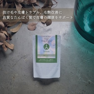 イシュカ　プレミアムウェット　皮膚ケアタイプ　160g