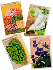 20s フランス 4set 膨満な花々と野菜たち 種子袋用ラベルs アンティーク