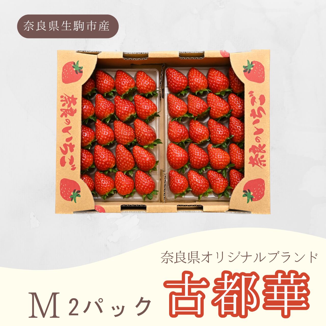 コガ's shop古物商28年プロフ必読品 古書の入荷作業中…読み応えのありそうな専門書が多く入荷しています その他