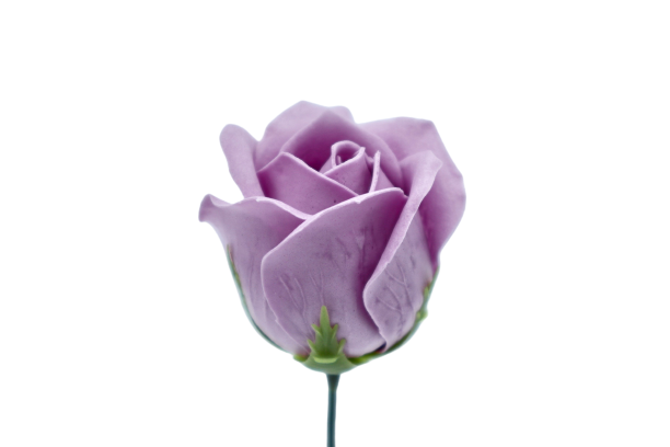 ゴールドバラG-PR2 ライラック 薄ピンク (15輪入りor25輪入り)