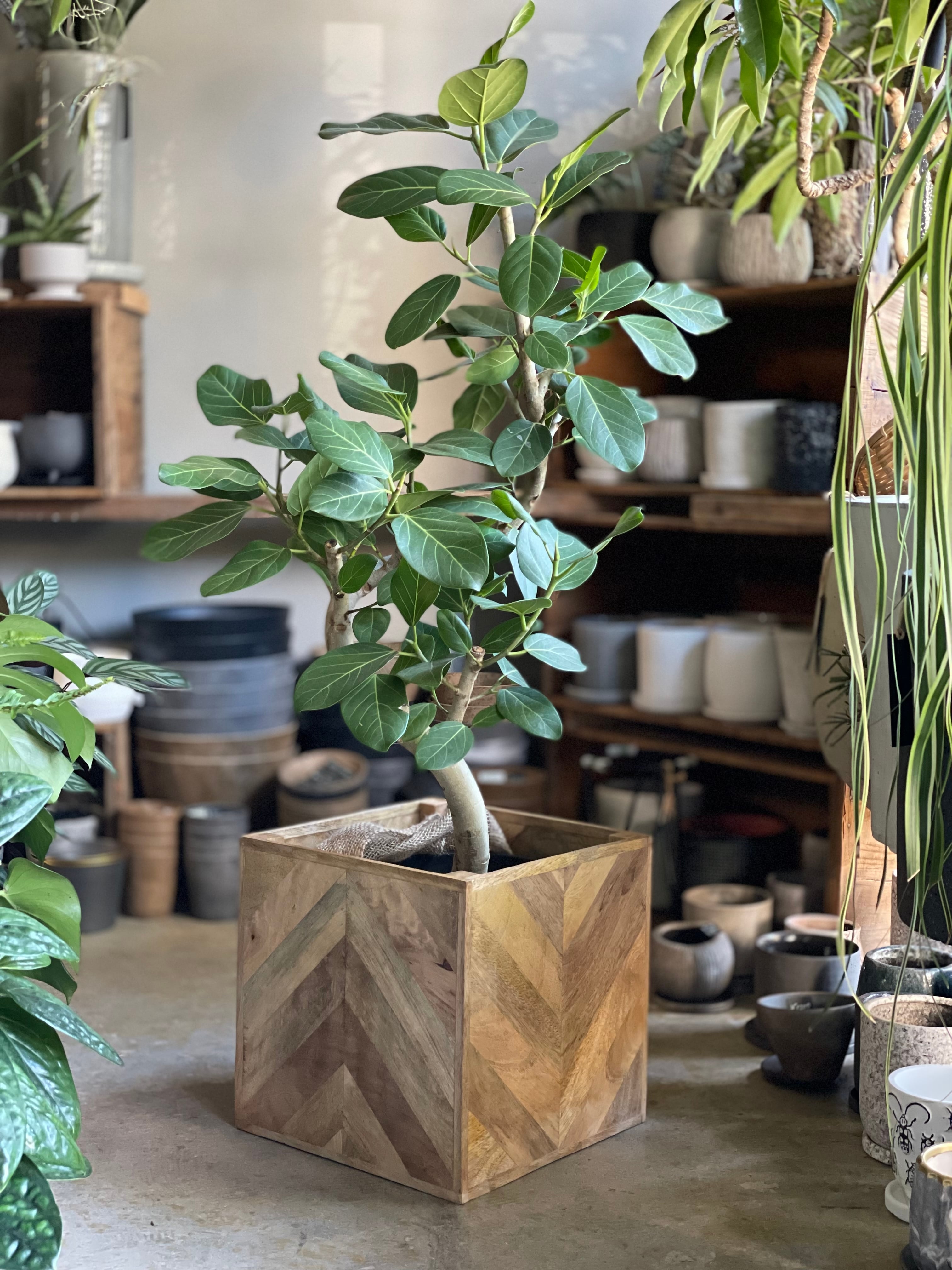 ヘリンボーン柄の天然木鉢カバー 鉢カバー 木製 ヘリンボーンポット L