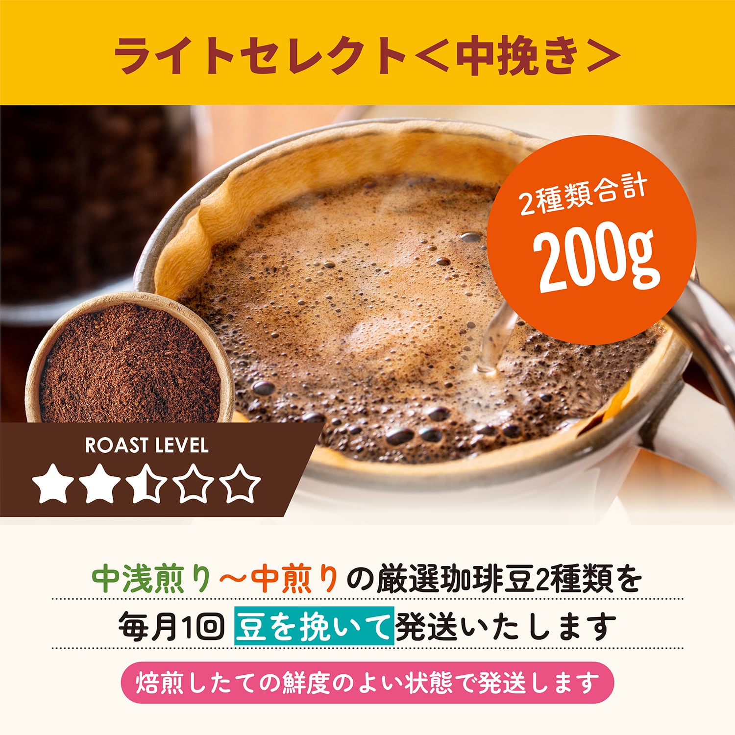 ライトセレクト（100g×2種類・中挽き）