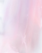 iPhone 17対応 / 17-N00009