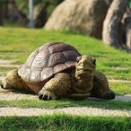 カメ 置物 像 動物 屋外庭園 レジンクラフト アートオーナメント