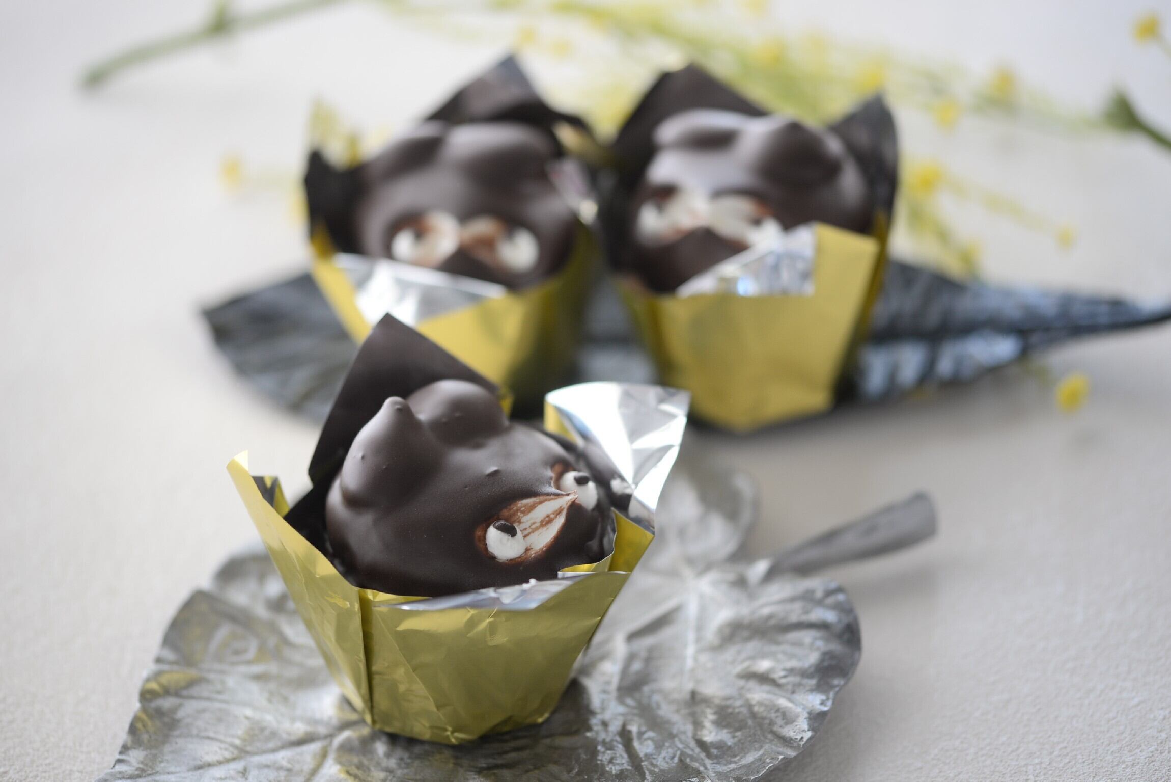 たぬきケーキ5個入 | pâtisserie OOTAKE -大竹菓子舗 りんごの国・青森