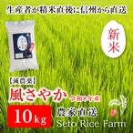 【R8年度 新米】減農薬　信州のブランド米「風さやか」　10kg　　あっさりとした食感が女性に好評！