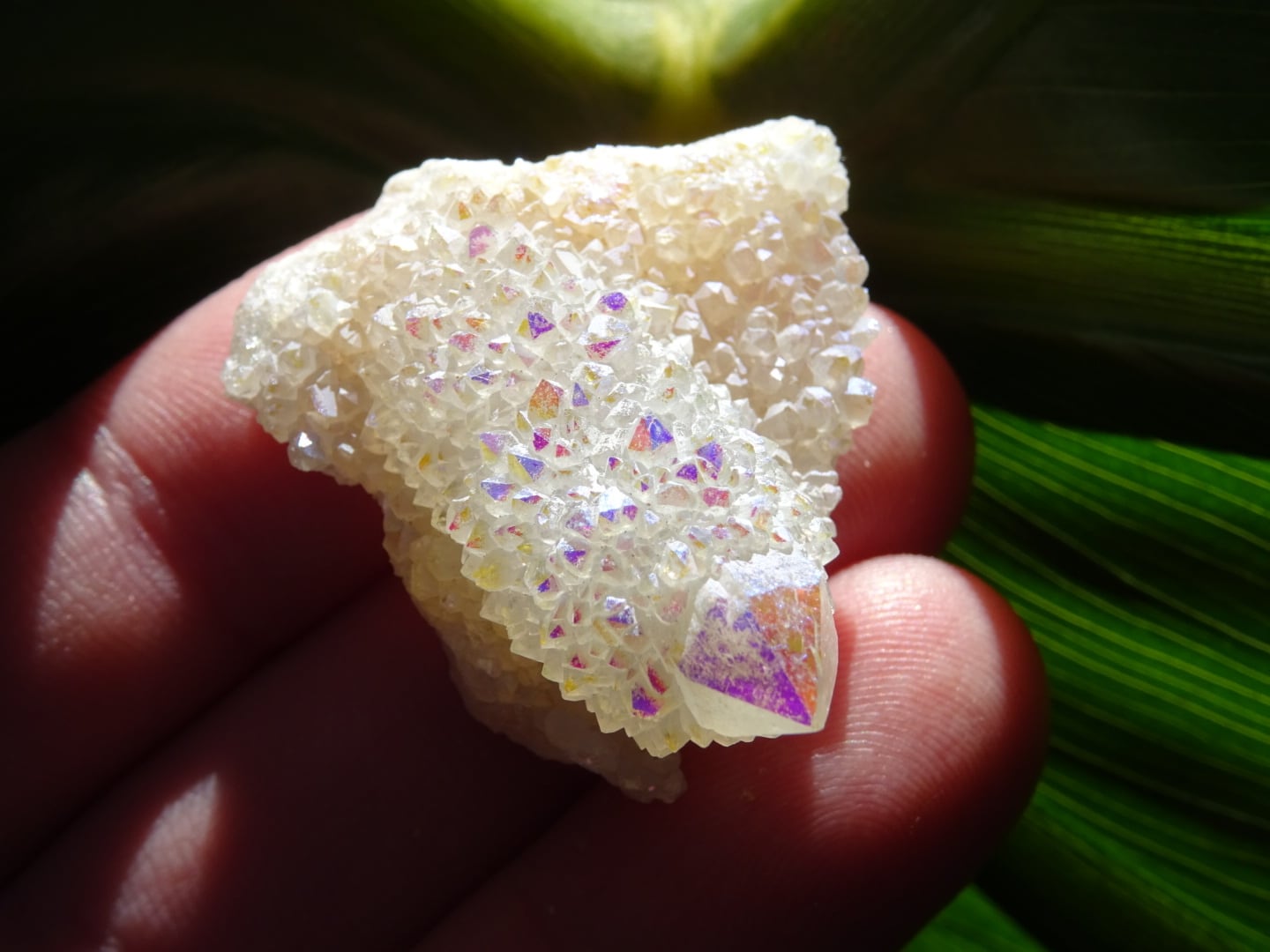 カクタスエンジェルオーラクォーツ | 虹石屋