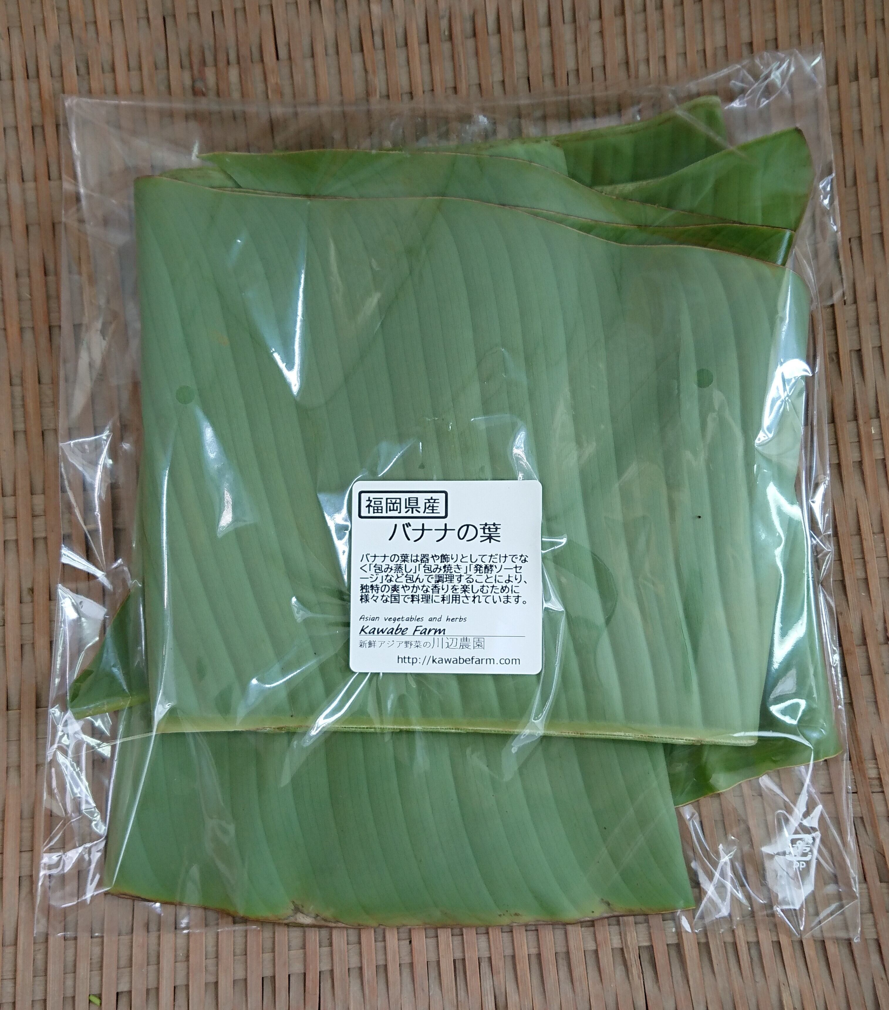 沖縄産 新鮮なバナ ナの葉 葉っぱ リーフ 5kg 新鮮なバナナ 沖縄産 新鮮なバナ ナの葉 葉っぱ リーフ 5kg 新鮮なバナナ