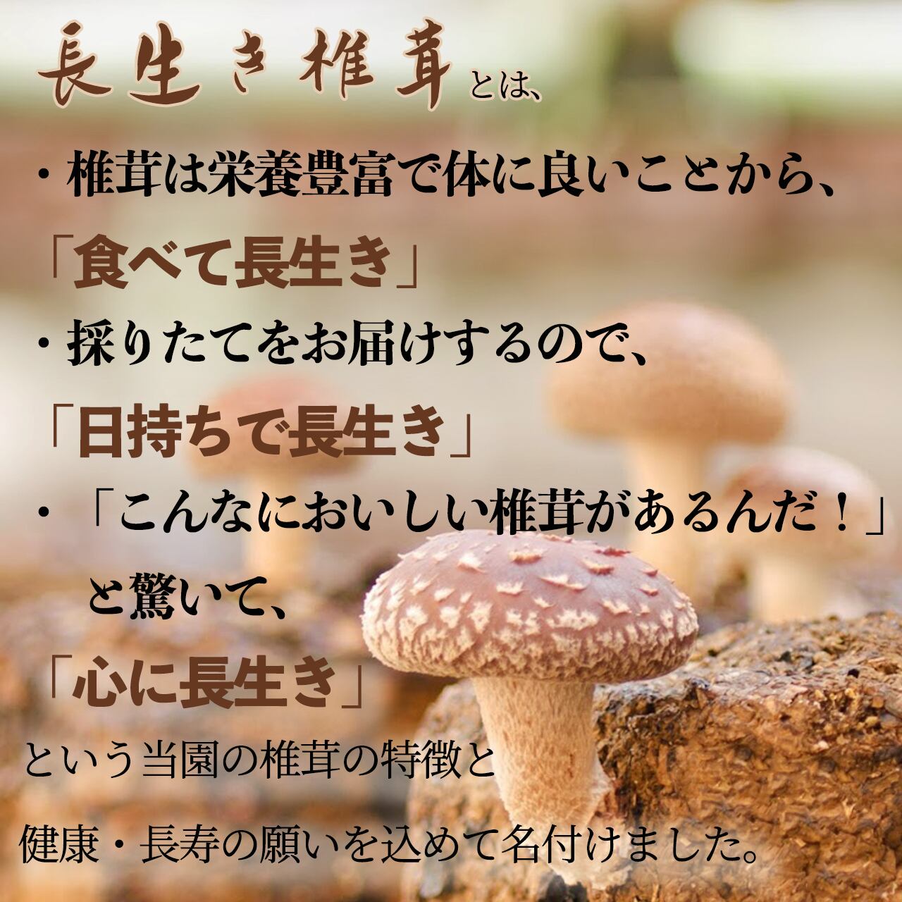 極上】椎茸とソーセージのセット | 佐倉きのこ園ネットショップ
