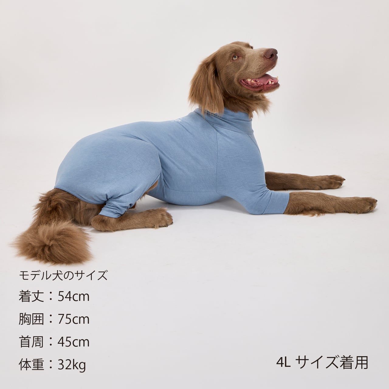 SKIN TIGHT SUIT（3L.4L.5L）スキンタイトスーツ | MANDARINE BROTHERS