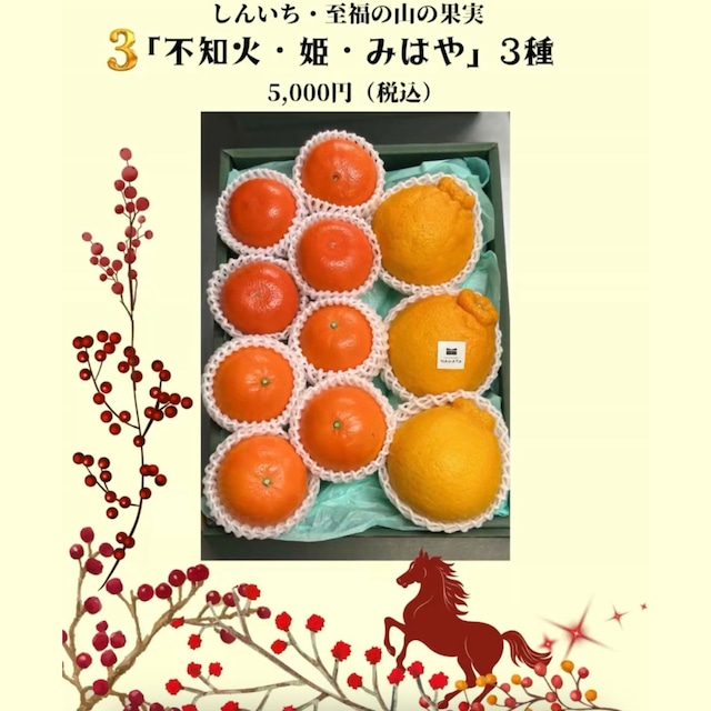 熊本県上天草産しんいち「特大不知火（しらぬい）・姫・みはや」3種の柑橘セット