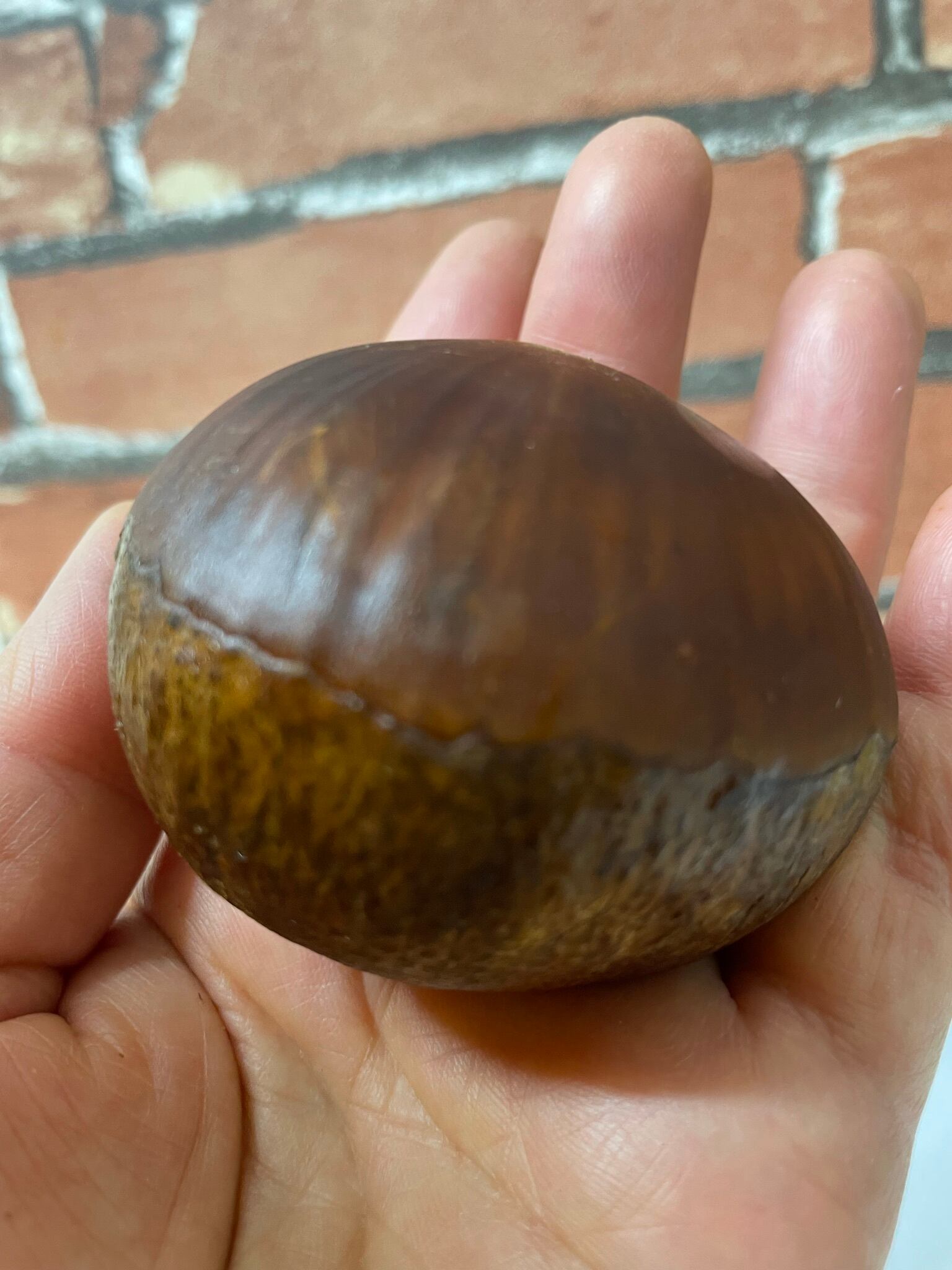 マロン様 PDSxZOLLMEN］Z合金 DXマッドバロン | ALL ITEMS,COLLECTION,PDS