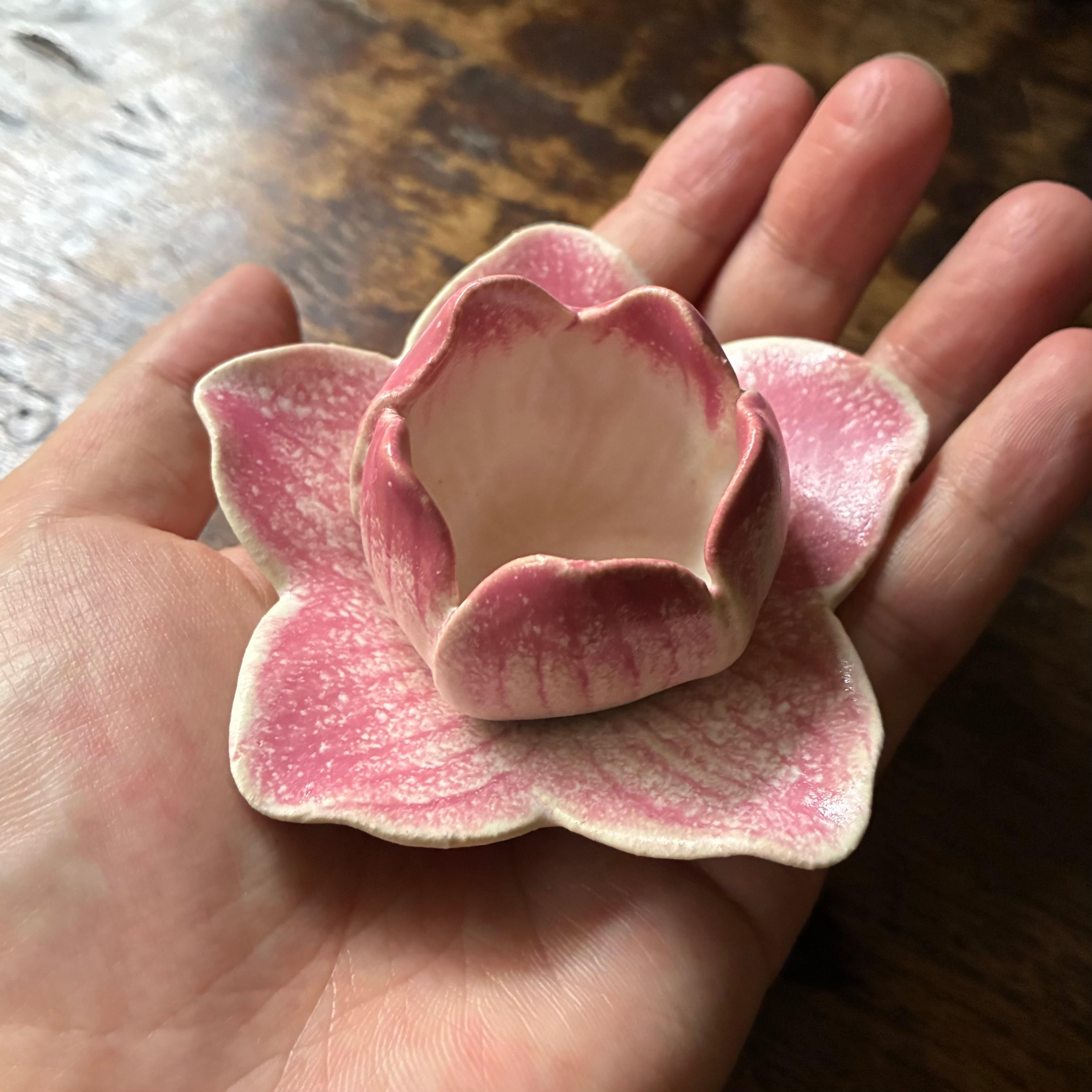 25 夏】Lotus 花小鉢 蓮 (幅8.5 cm) | TSUNE;田中恒子の器 オンライン
