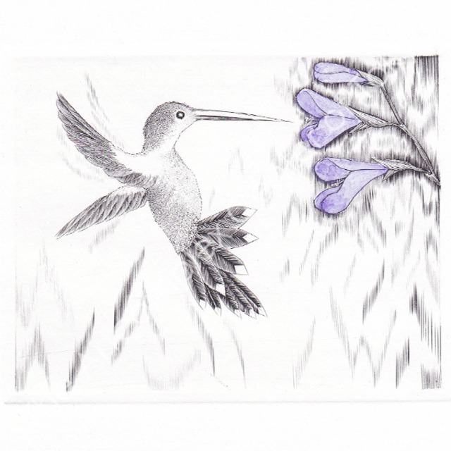 黒田茂樹「Hb-F3」