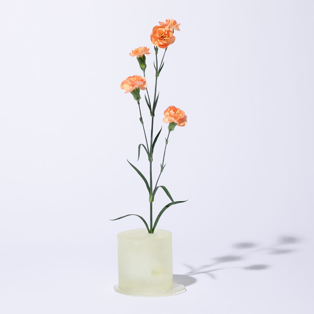 Flower Vase / 花碑 - 2:00pm