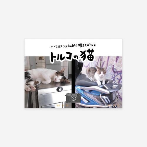 トルコの猫 - ハーフカメラX halfで撮るCATS -