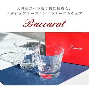 New BACCARAT バカラ ミルニュイ タンブラー 2客セット ペアグラス クリスタル 2105395 新品