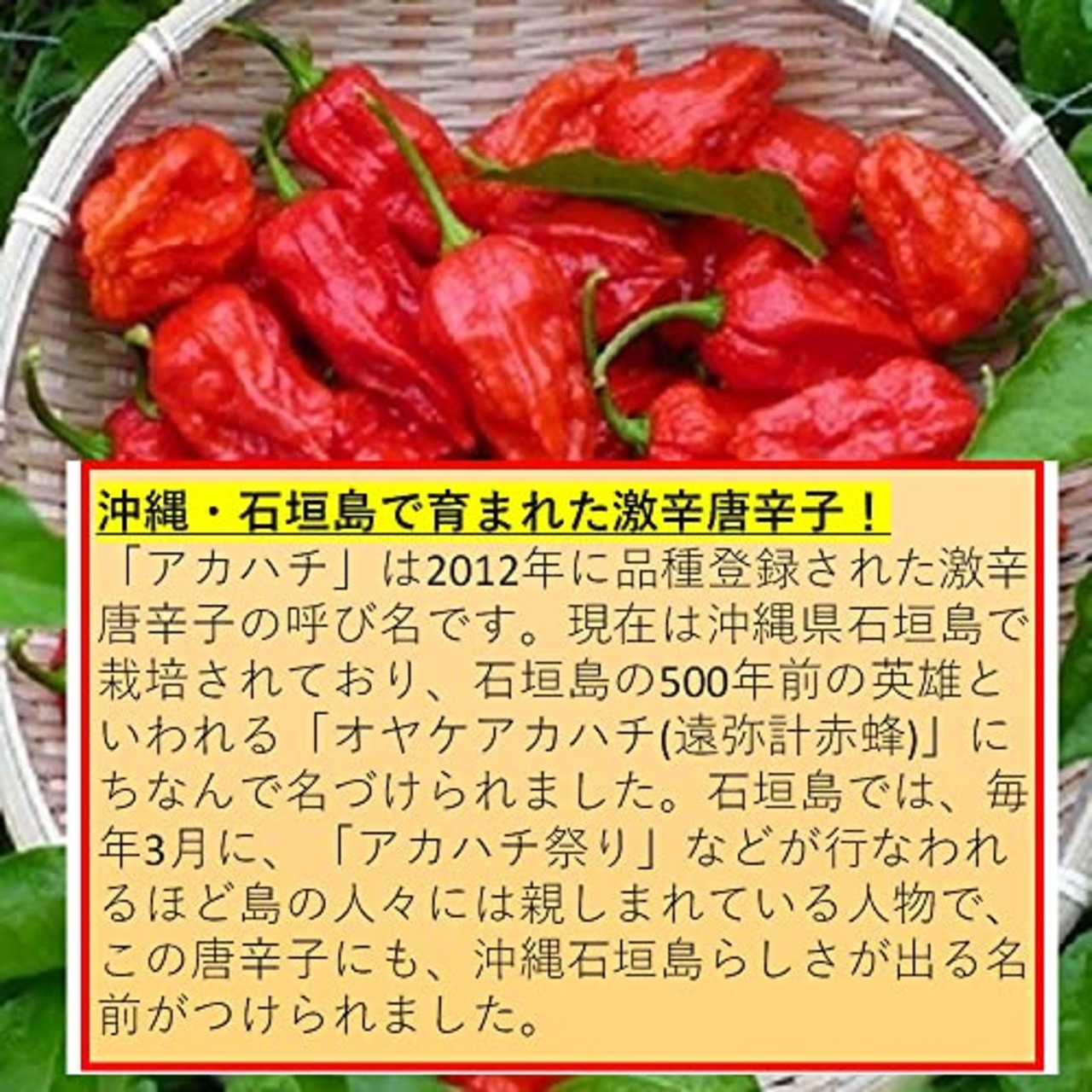 なとり 激辛柿の種&ピーナッツ 60g×10袋