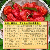 なとり 激辛柿の種&ピーナッツ 60g×10袋