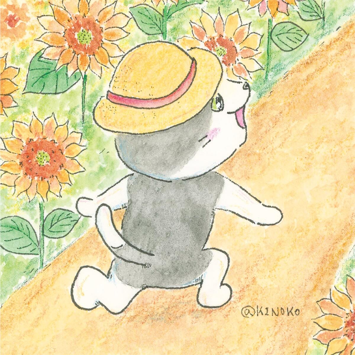 ポストカード ひまわり / グッズ 夏 向日葵 ねこ 水彩 イラスト 猫