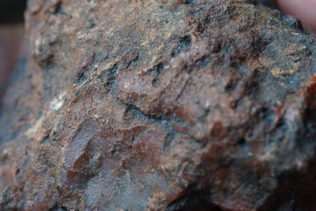 コプロライト ① Dinosaur Coprolites