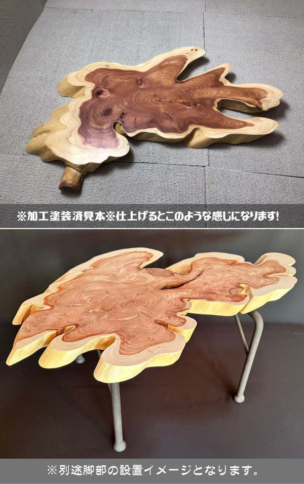 レジンテーブル、貝塚伊吹　輪切 レジンテーブル、貝塚伊吹 輪切 【公式通販】