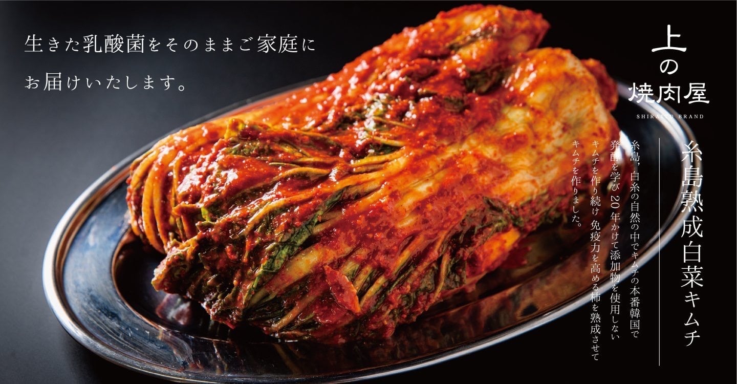 糸島熟成白菜キムチ　1KG