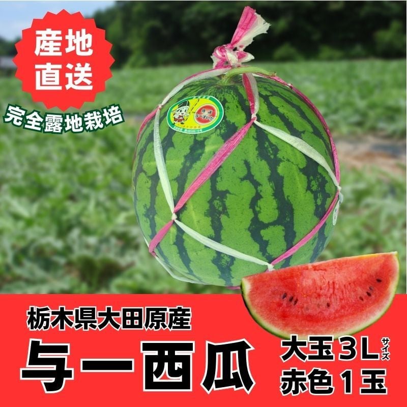 高橋農園｜産直通販「あるよ」応援プロジェクト