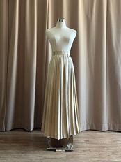 champagne gold elegant pleats skirt--4738-6