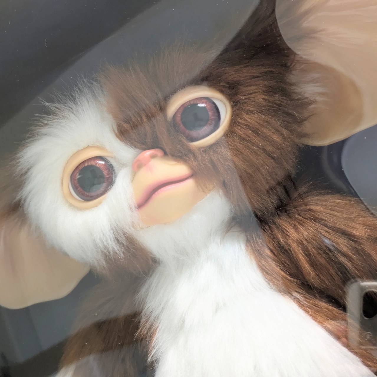 送料無料!☆4000体限定☆【 グレムリン2 新・種・誕・生 】ギズモ 1/1 プロップ・レプリカ / パペット/ Gremlins 2: The New Batch - Prop Replica - Puppet: Gizmo  〚アメリカン雑貨 アメトイ〛