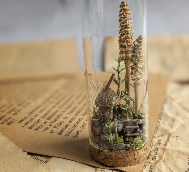 大きな綿毛と小さな家 大きな綿毛と小さな家