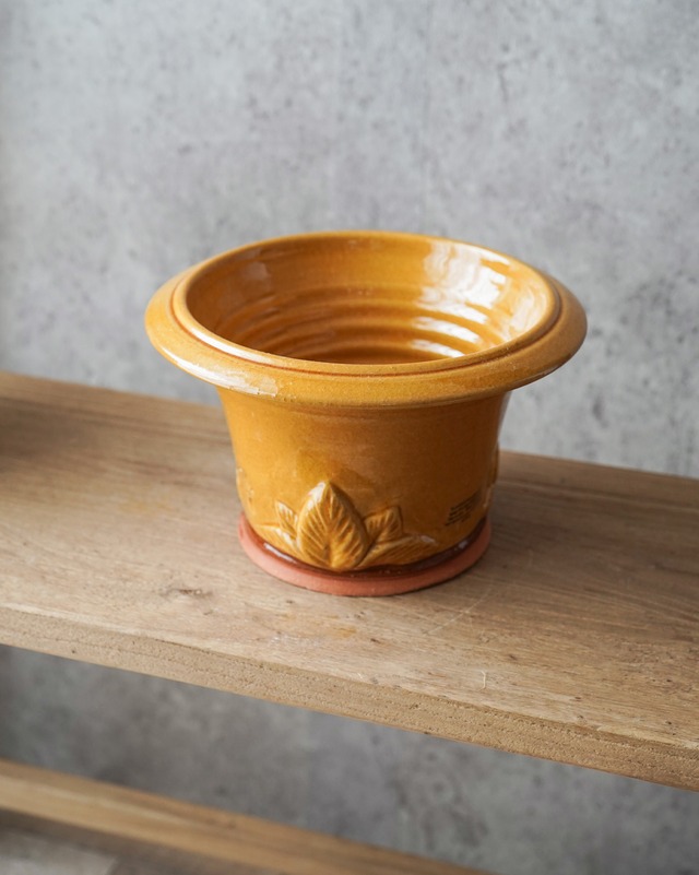 ウィッチフォード 【英国高級植木鉢】 ミニホスタポット  φ24cm 【Whichford Pottery】