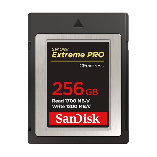 SanDisk ポータブルSSD 1TB (読み取り速度最大800MB/秒、USB 3.2 Gen 2
