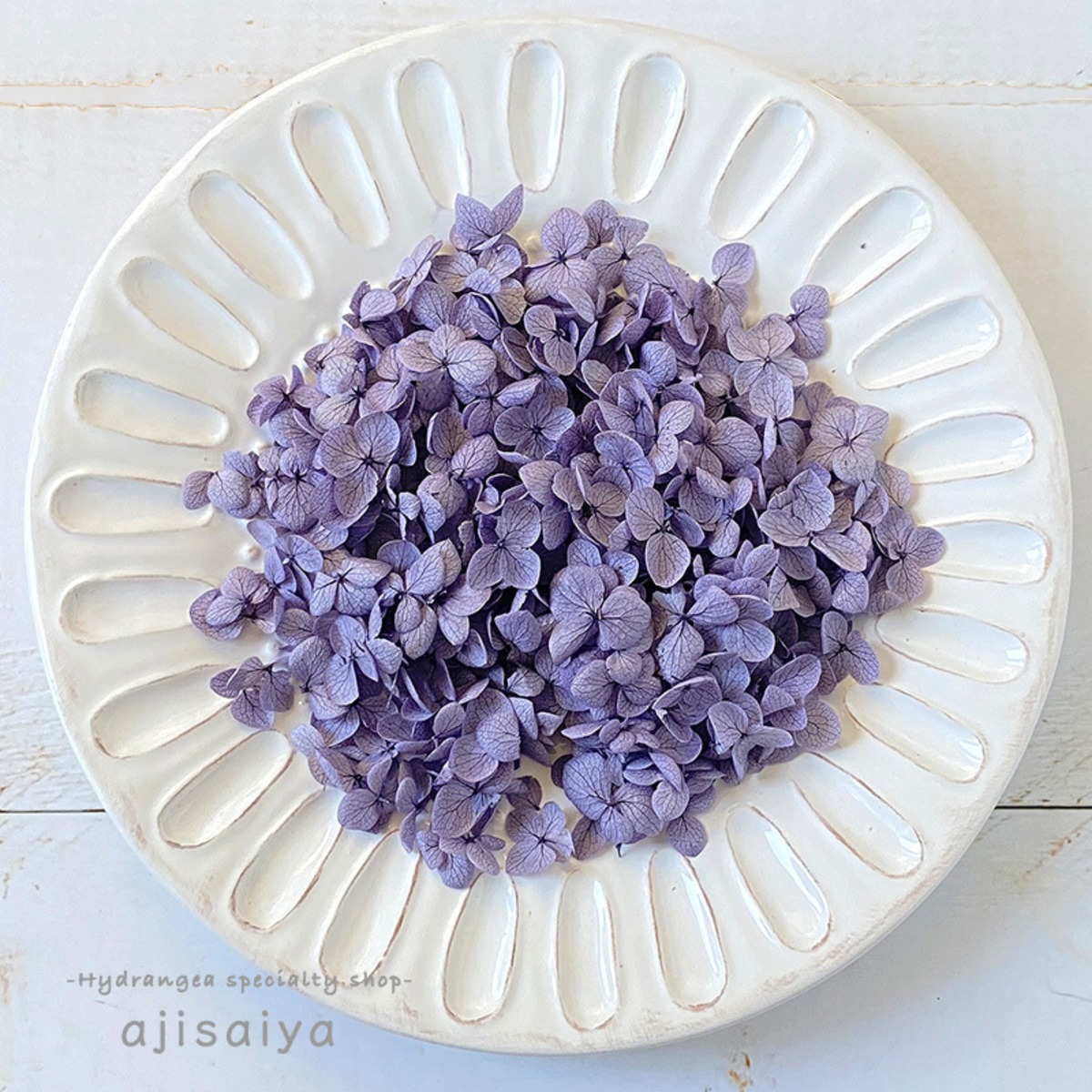訳あり品SALE❣️紫陽花アナベルの花びらのかけら達♡150輪以上